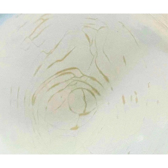 Oval Platter - Hand Painted Rare Vintage Allertons Ltd. Fine Bone China - Picture 7 of 7